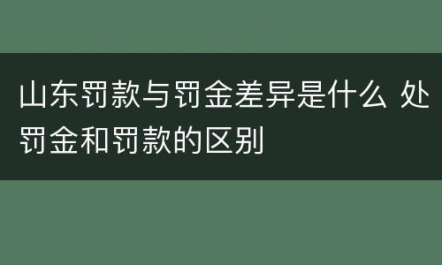 山东罚款与罚金差异是什么 处罚金和罚款的区别