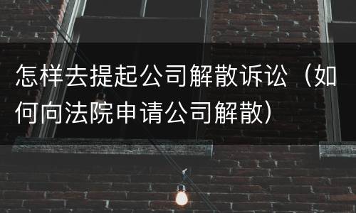 怎样去提起公司解散诉讼（如何向法院申请公司解散）