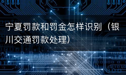 宁夏罚款和罚金怎样识别（银川交通罚款处理）
