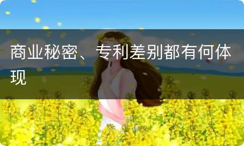 商业秘密、专利差别都有何体现