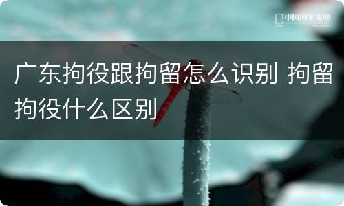 广东拘役跟拘留怎么识别 拘留拘役什么区别