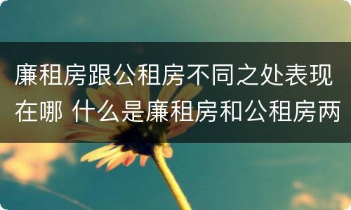 廉租房跟公租房不同之处表现在哪 什么是廉租房和公租房两个有什么特点