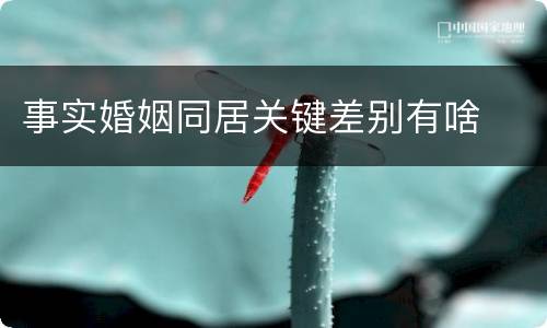 事实婚姻同居关键差别有啥