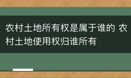 农村土地所有权是属于谁的 农村土地使用权归谁所有