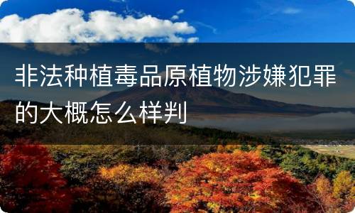 非法种植毒品原植物涉嫌犯罪的大概怎么样判