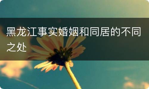 黑龙江事实婚姻和同居的不同之处