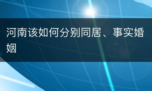 河南该如何分别同居、事实婚姻