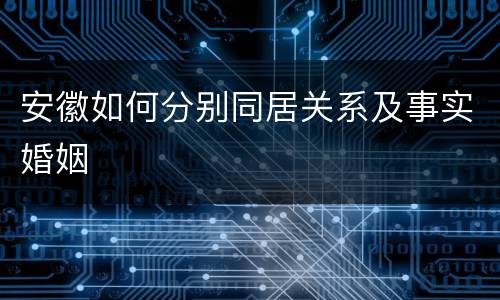 安徽如何分别同居关系及事实婚姻