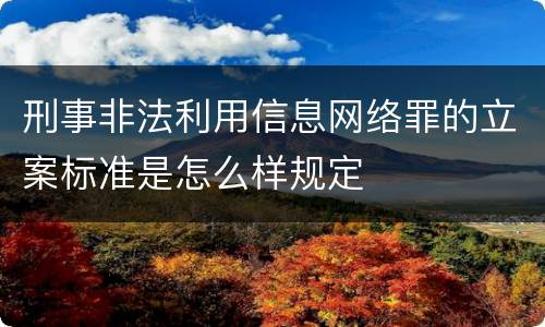 刑事非法利用信息网络罪的立案标准是怎么样规定
