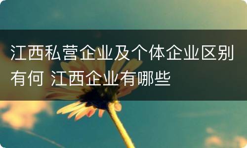 江西私营企业及个体企业区别有何 江西企业有哪些