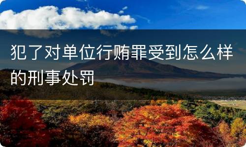 犯了对单位行贿罪受到怎么样的刑事处罚