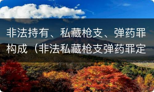 非法持有、私藏枪支、弹药罪构成（非法私藏枪支弹药罪定罪处罚）