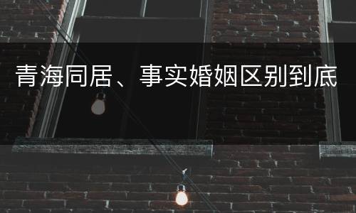 青海同居、事实婚姻区别到底