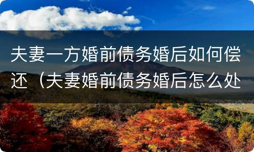 夫妻一方婚前债务婚后如何偿还（夫妻婚前债务婚后怎么处理）
