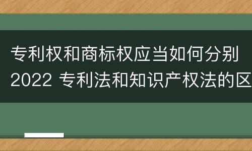 专利权和商标权应当如何分别2022 专利法和知识产权法的区别
