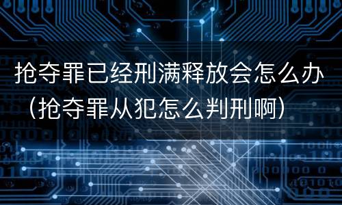 抢夺罪已经刑满释放会怎么办（抢夺罪从犯怎么判刑啊）