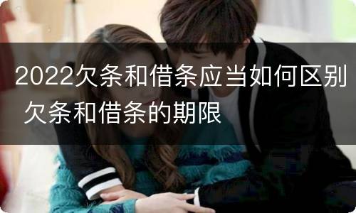 2022欠条和借条应当如何区别 欠条和借条的期限