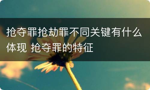 抢夺罪抢劫罪不同关键有什么体现 抢夺罪的特征