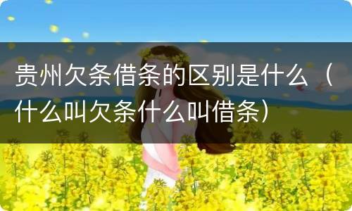 贵州欠条借条的区别是什么（什么叫欠条什么叫借条）