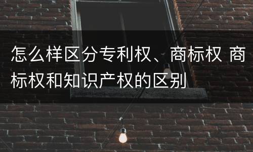 怎么样区分专利权、商标权 商标权和知识产权的区别