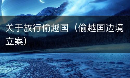 关于放行偷越国（偷越国边境立案）