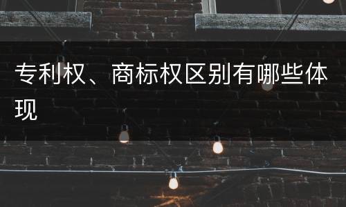 专利权、商标权区别有哪些体现