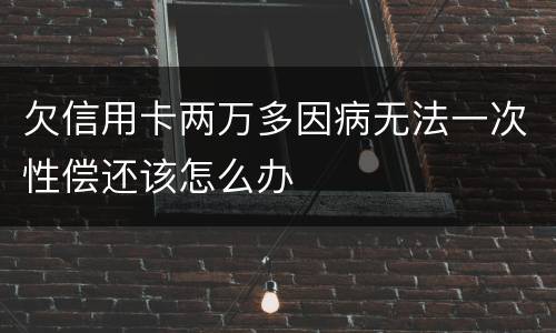 欠信用卡两万多因病无法一次性偿还该怎么办