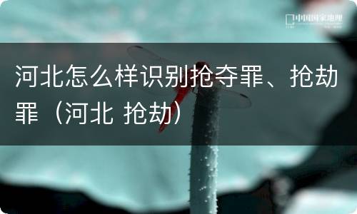 河北怎么样识别抢夺罪、抢劫罪（河北 抢劫）
