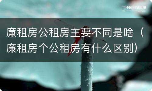 廉租房公租房主要不同是啥（廉租房个公租房有什么区别）