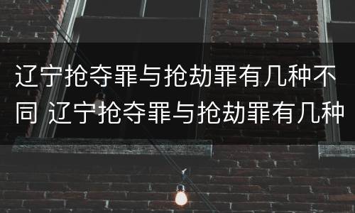 辽宁抢夺罪与抢劫罪有几种不同 辽宁抢夺罪与抢劫罪有几种不同处罚