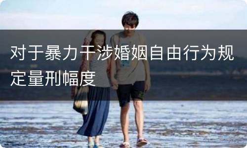 对于暴力干涉婚姻自由行为规定量刑幅度