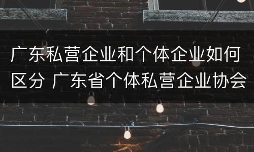 广东私营企业和个体企业如何区分 广东省个体私营企业协会