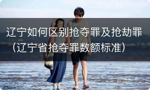 辽宁如何区别抢夺罪及抢劫罪（辽宁省抢夺罪数额标准）