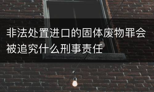非法处置进口的固体废物罪会被追究什么刑事责任