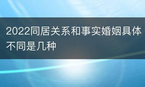 2022同居关系和事实婚姻具体不同是几种