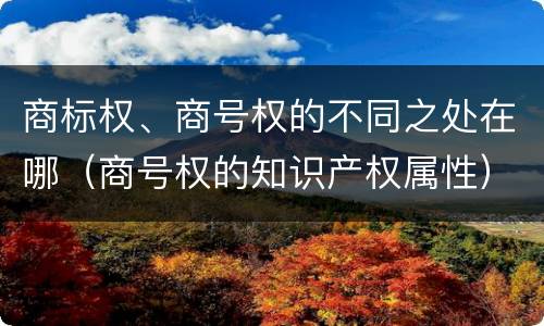 商标权、商号权的不同之处在哪（商号权的知识产权属性）