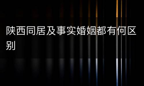 陕西同居及事实婚姻都有何区别