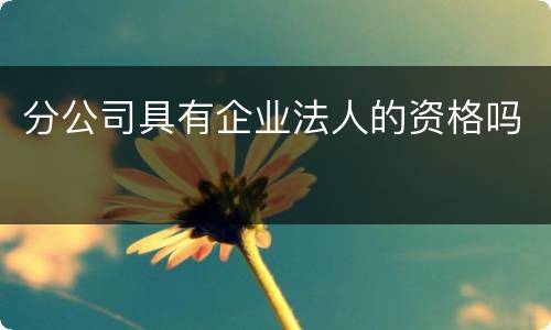 分公司具有企业法人的资格吗