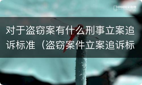对于盗窃案有什么刑事立案追诉标准（盗窃案件立案追诉标准）
