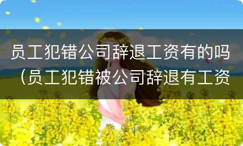 员工犯错公司辞退工资有的吗（员工犯错被公司辞退有工资吗）