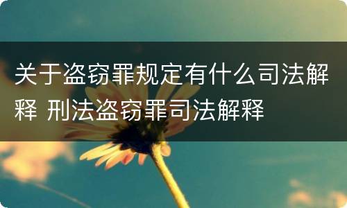 关于盗窃罪规定有什么司法解释 刑法盗窃罪司法解释
