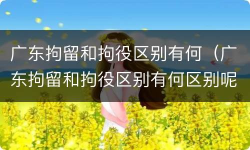 广东拘留和拘役区别有何（广东拘留和拘役区别有何区别呢）