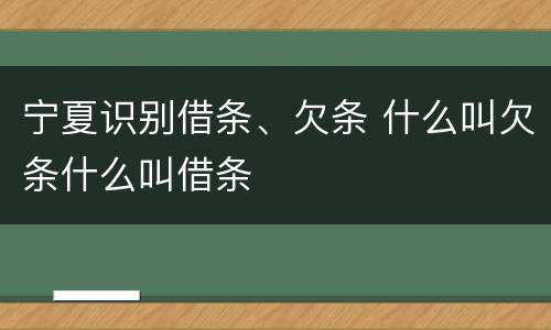 宁夏识别借条、欠条 什么叫欠条什么叫借条