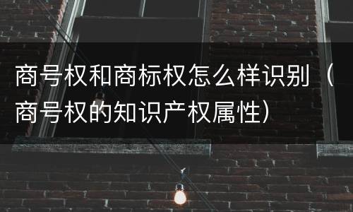 商号权和商标权怎么样识别（商号权的知识产权属性）