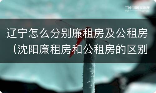 辽宁怎么分别廉租房及公租房（沈阳廉租房和公租房的区别）