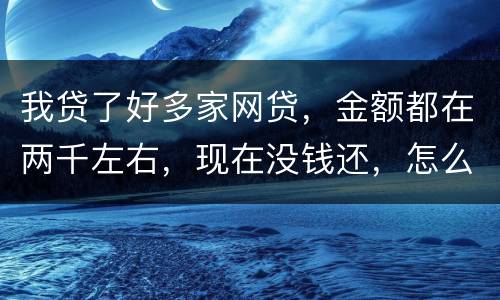 我贷了好多家网贷，金额都在两千左右，现在没钱还，怎么办呢