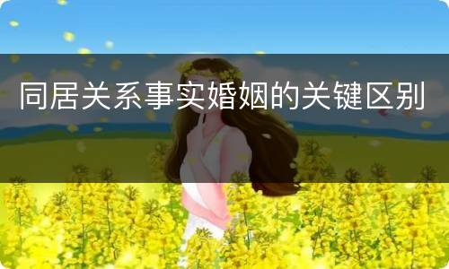 同居关系事实婚姻的关键区别