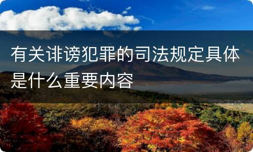 有关诽谤犯罪的司法规定具体是什么重要内容