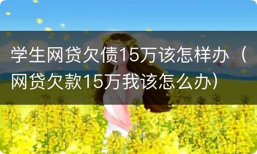 学生网贷欠债15万该怎样办（网贷欠款15万我该怎么办）