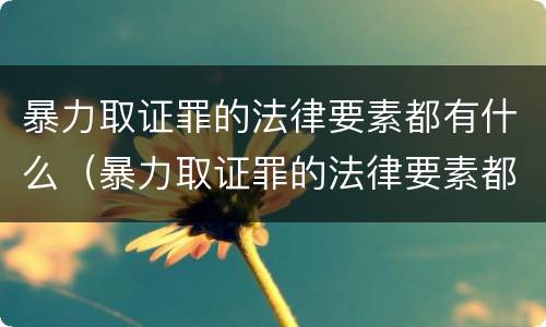 暴力取证罪的法律要素都有什么（暴力取证罪的法律要素都有什么规定）